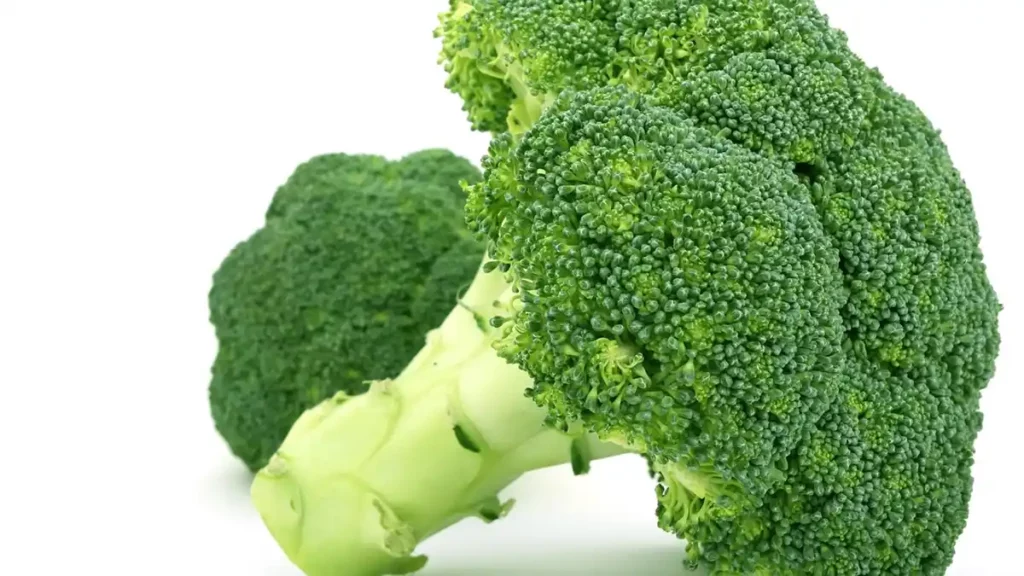 Broccoli best vegetables for weight loss