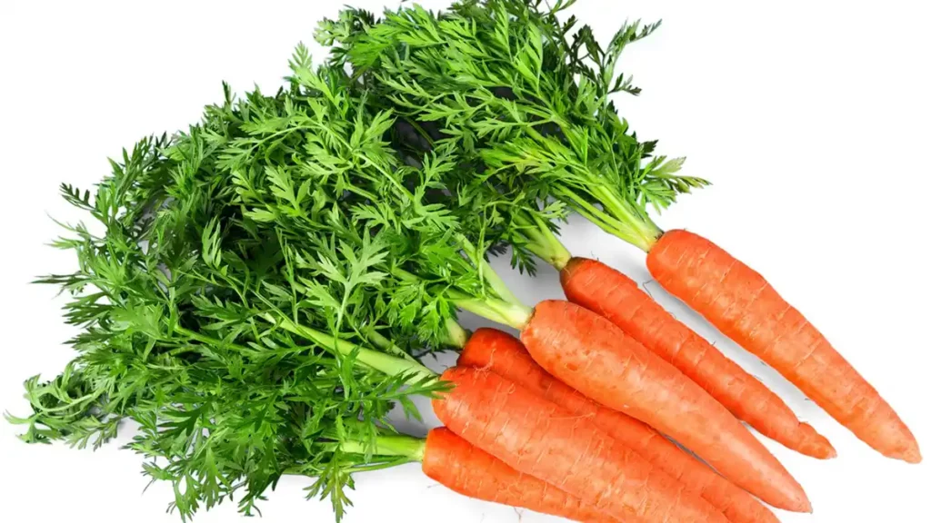 carrots