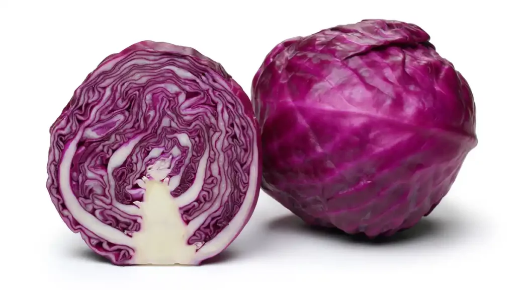 purple cabbage best vegetables for weight loss